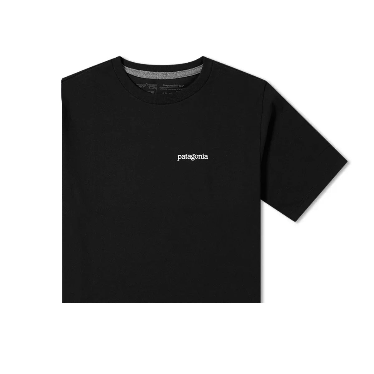 Men's Fitz Roy Horizons Responsibili-Tee®