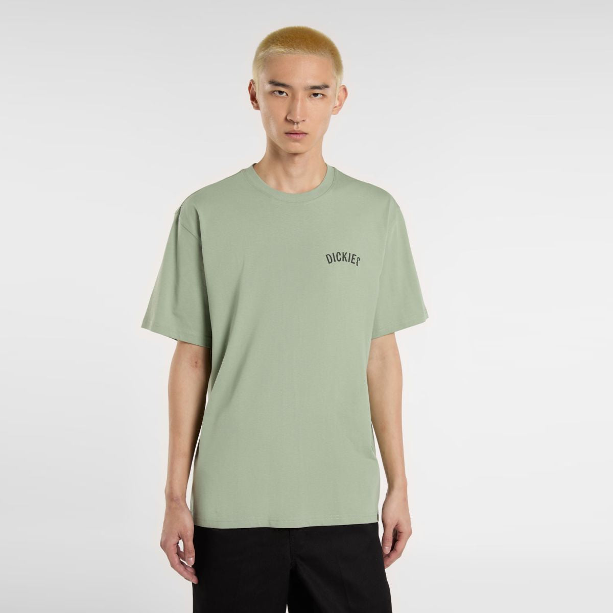 T-Shirt Dickies Snake Iceberg Green