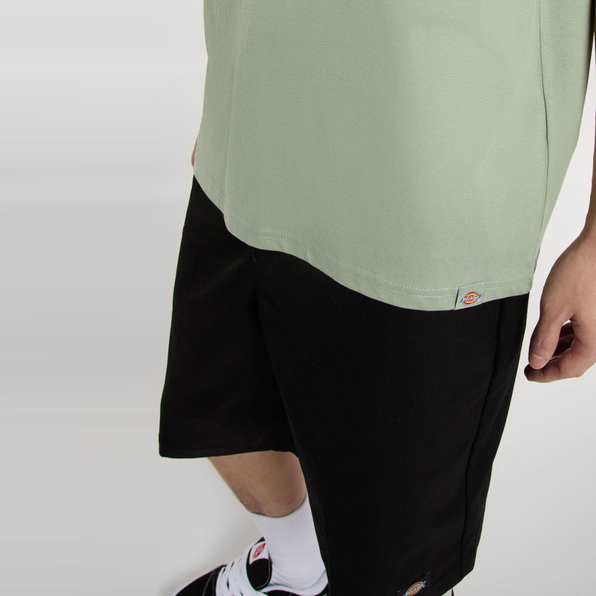 T-Shirt Dickies Snake Iceberg Green