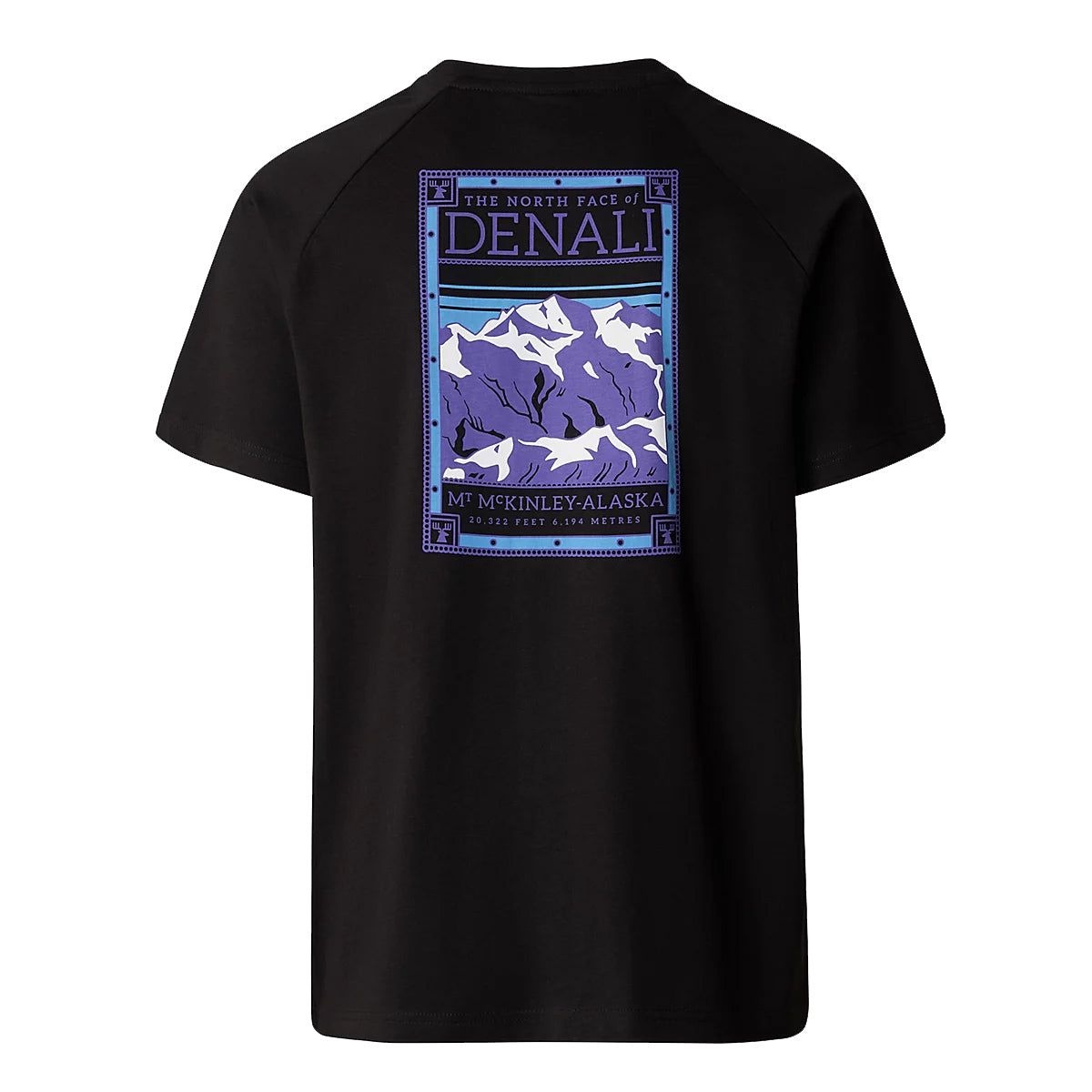 T-Shirt North Faces TNF Black