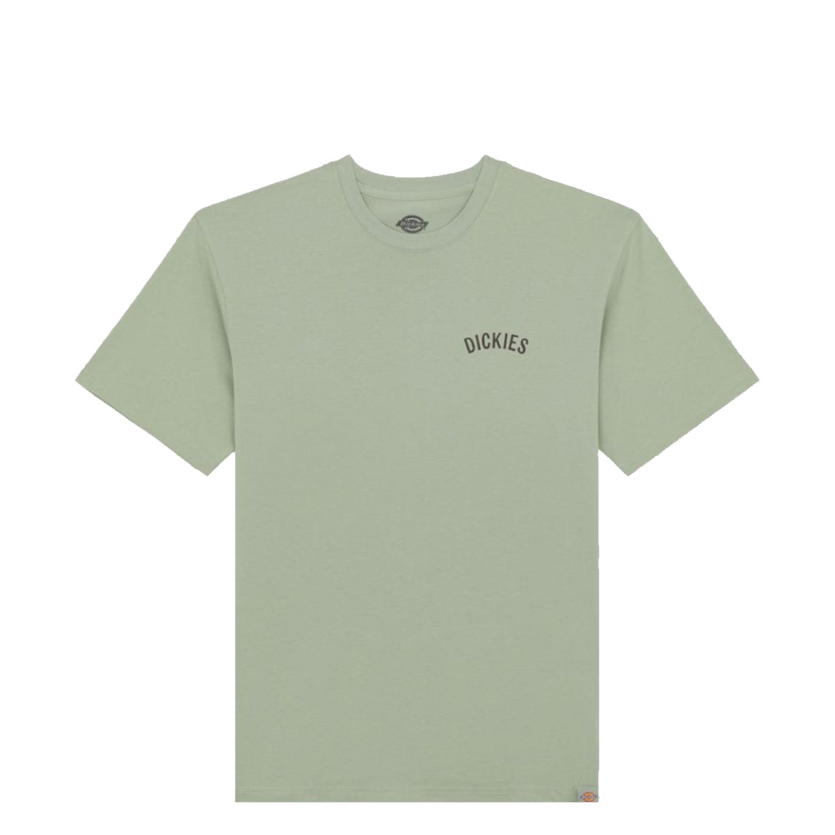 T-Shirt Dickies Snake Iceberg Green