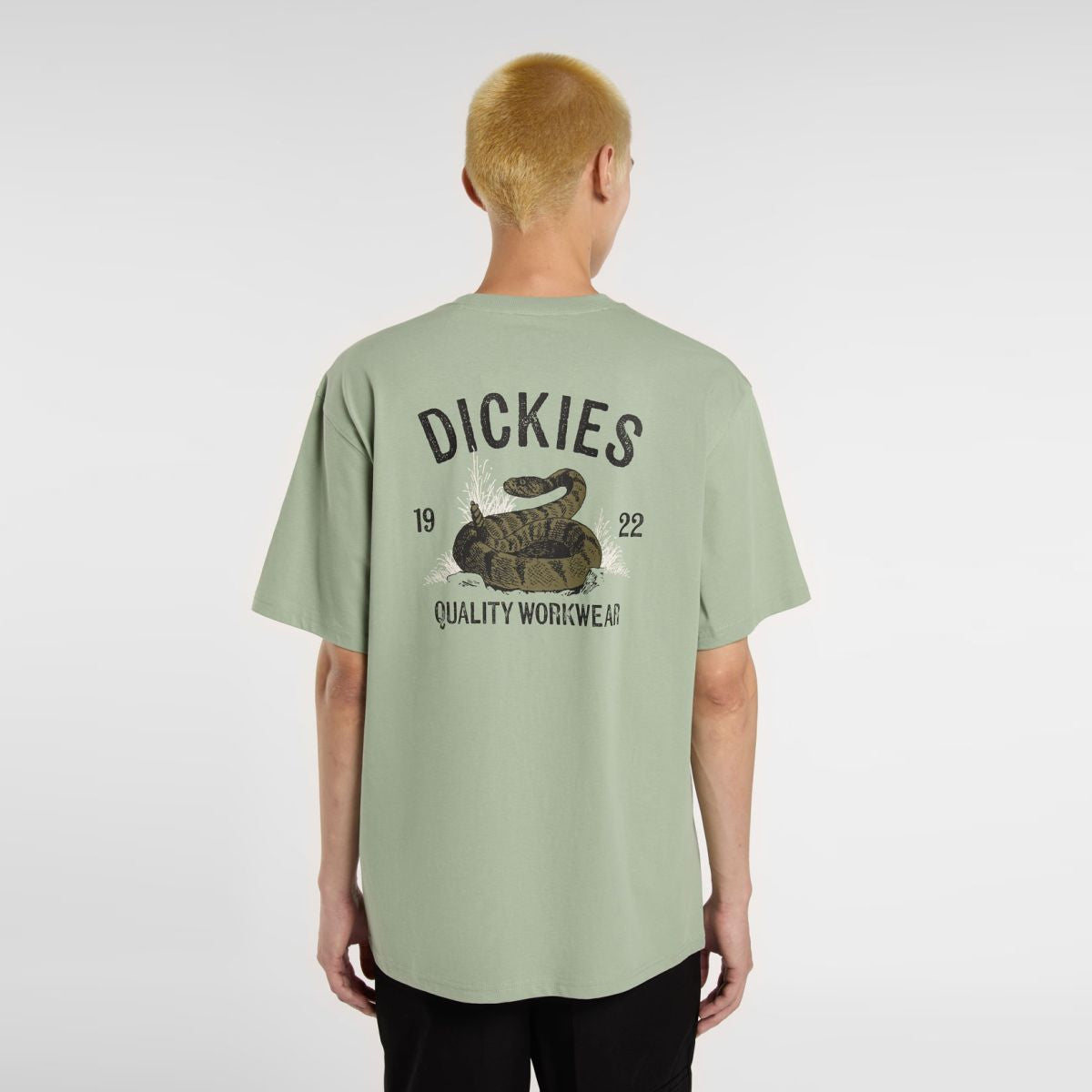 T-Shirt Dickies Snake Iceberg Green