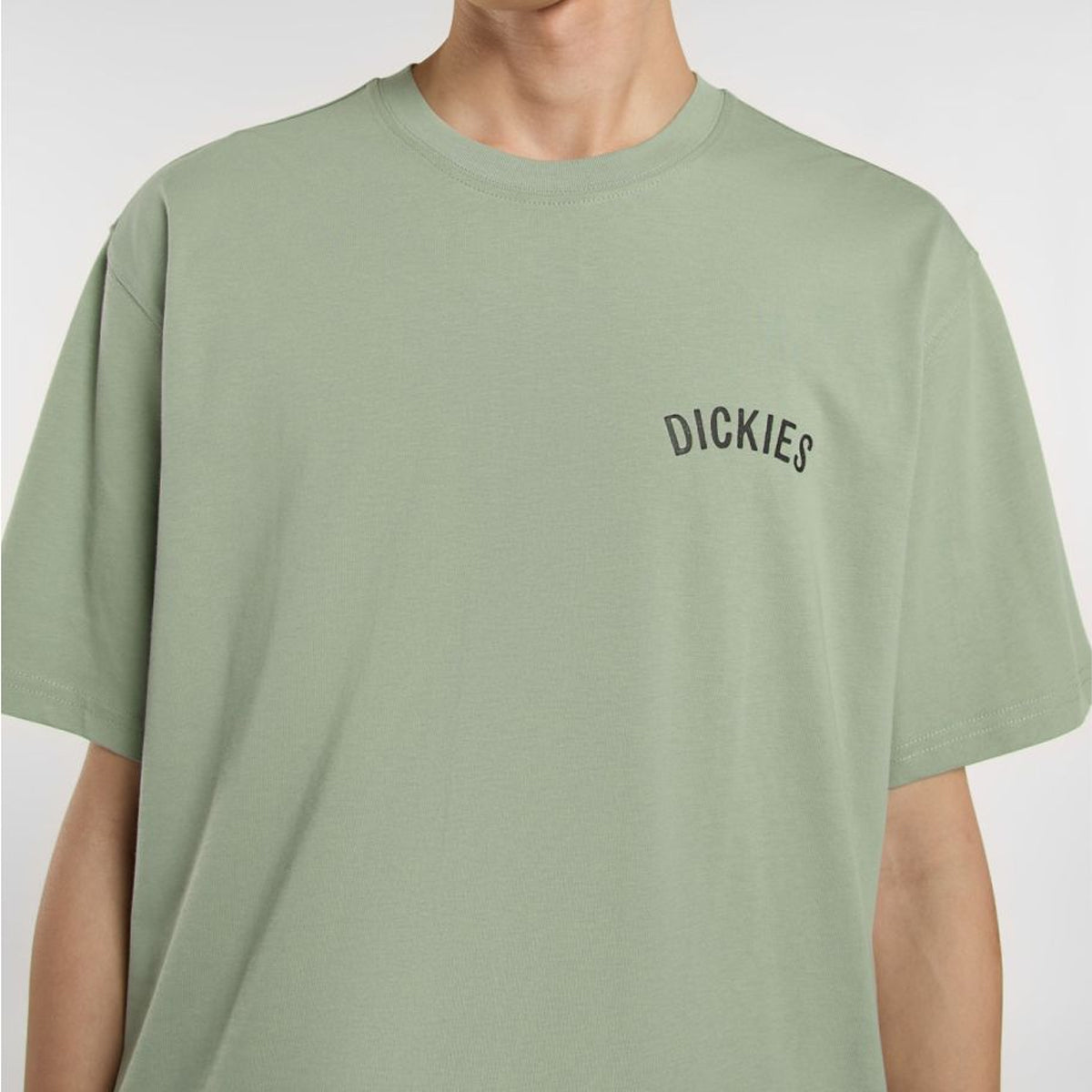 T-Shirt Dickies Snake Iceberg Green