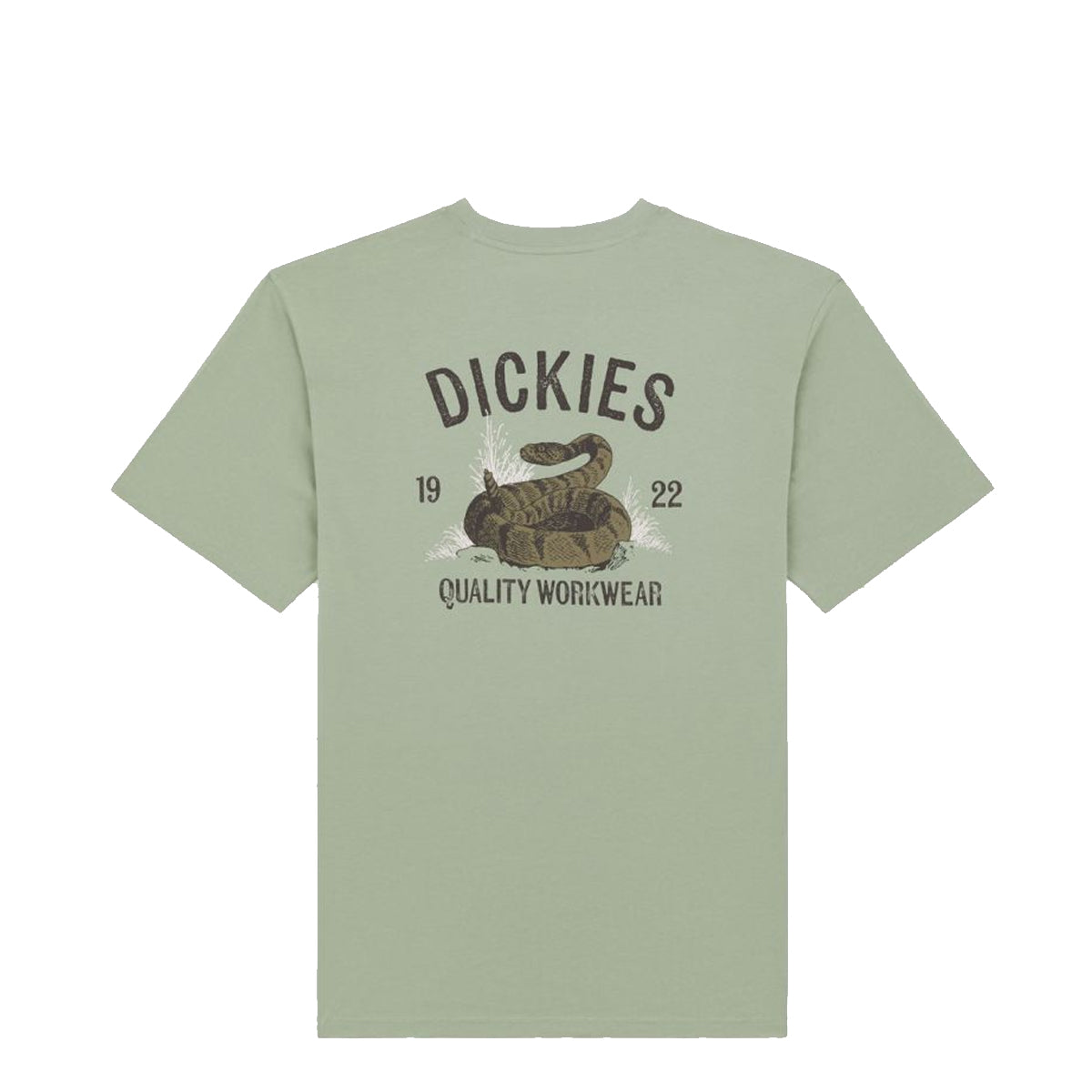T-Shirt Dickies Snake Iceberg Green