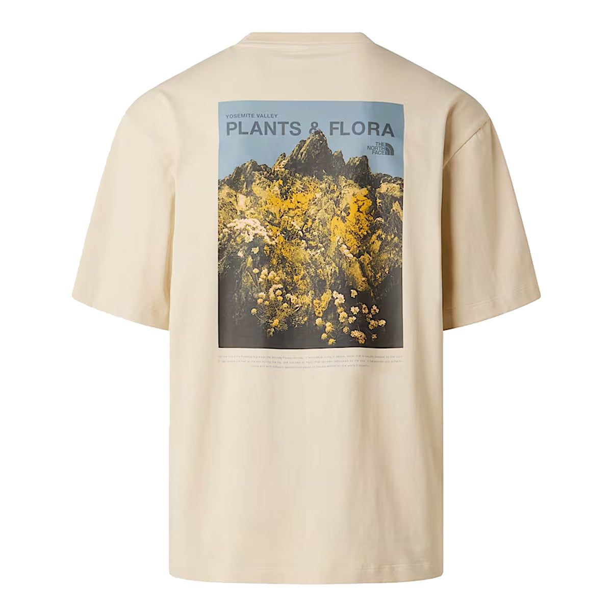 T-shirt Plant & Flora Oversize Desert Stone