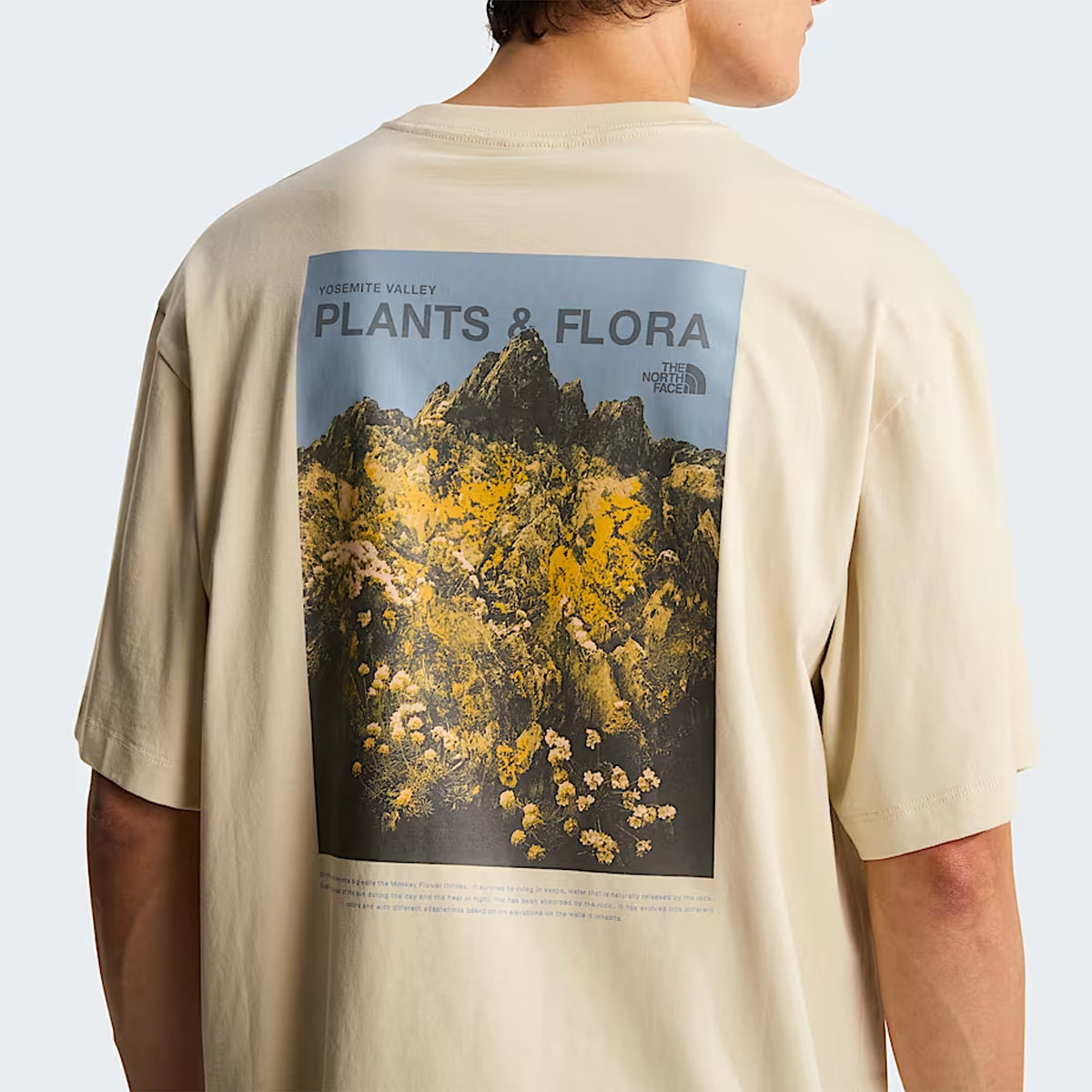 T-shirt Plant & Flora Oversize Desert Stone